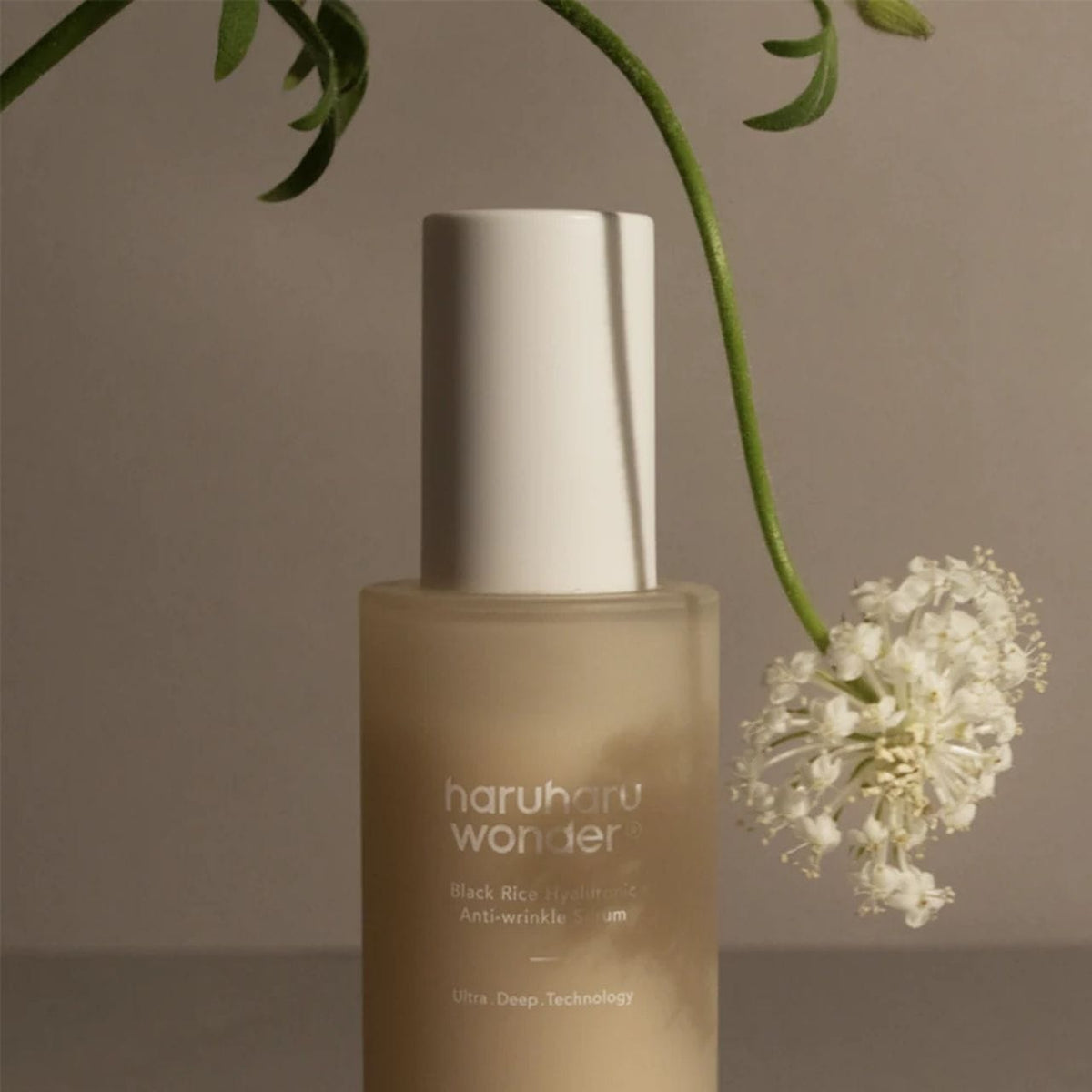 HaruHaru Wonder Black Rice Hyaluronic Anti-Wrinkle Serum – 50 ml