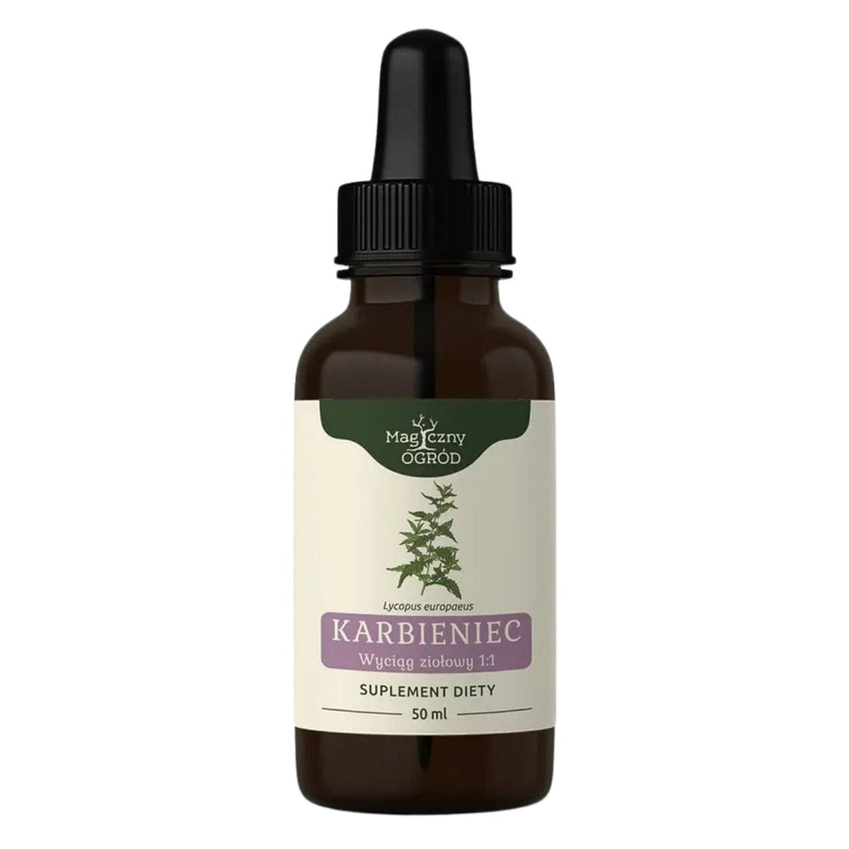 Nanga Common Gorse Herbal Extract 1:1 - 50 ml