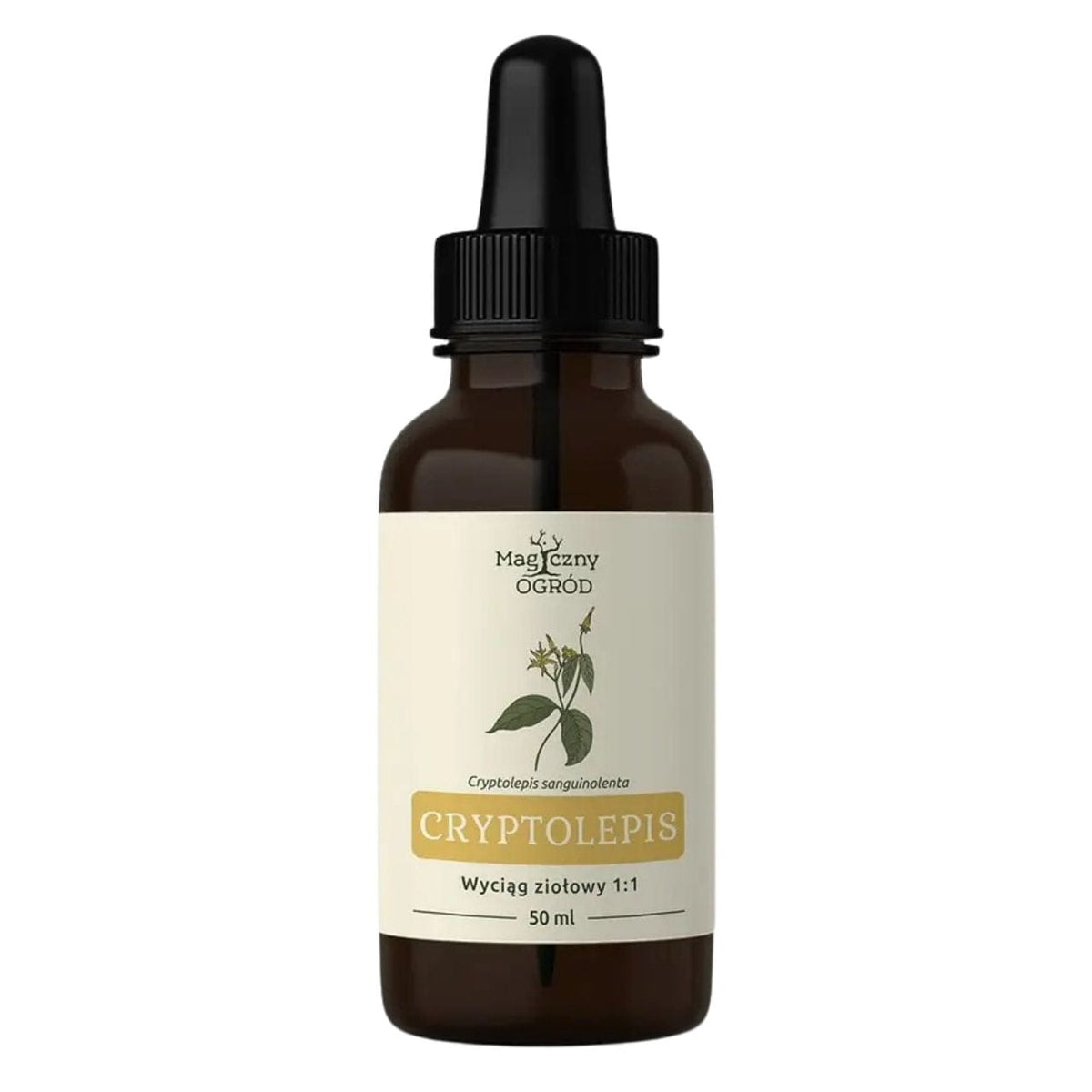Nanga Cryptolepis Herb Extract 1:1 - 50 ml