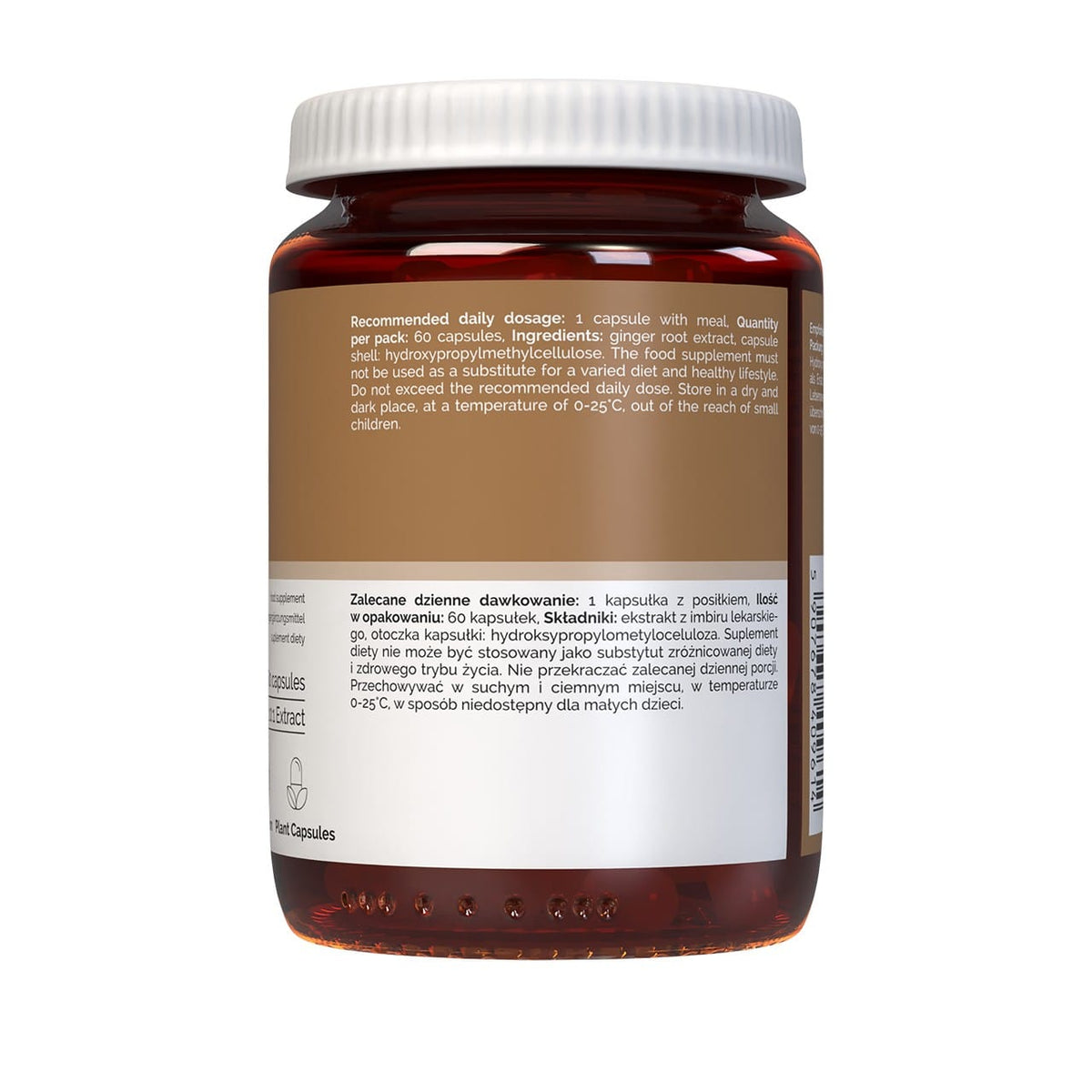 Vitaler's Ginger 500 mg - 60 Capsules