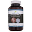 Medverita Andrographis Extract 98% Andrographolide - 120 Capsules