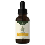 Nanga Annual Mugwort Herbal Extract 1:1 - 50 ml