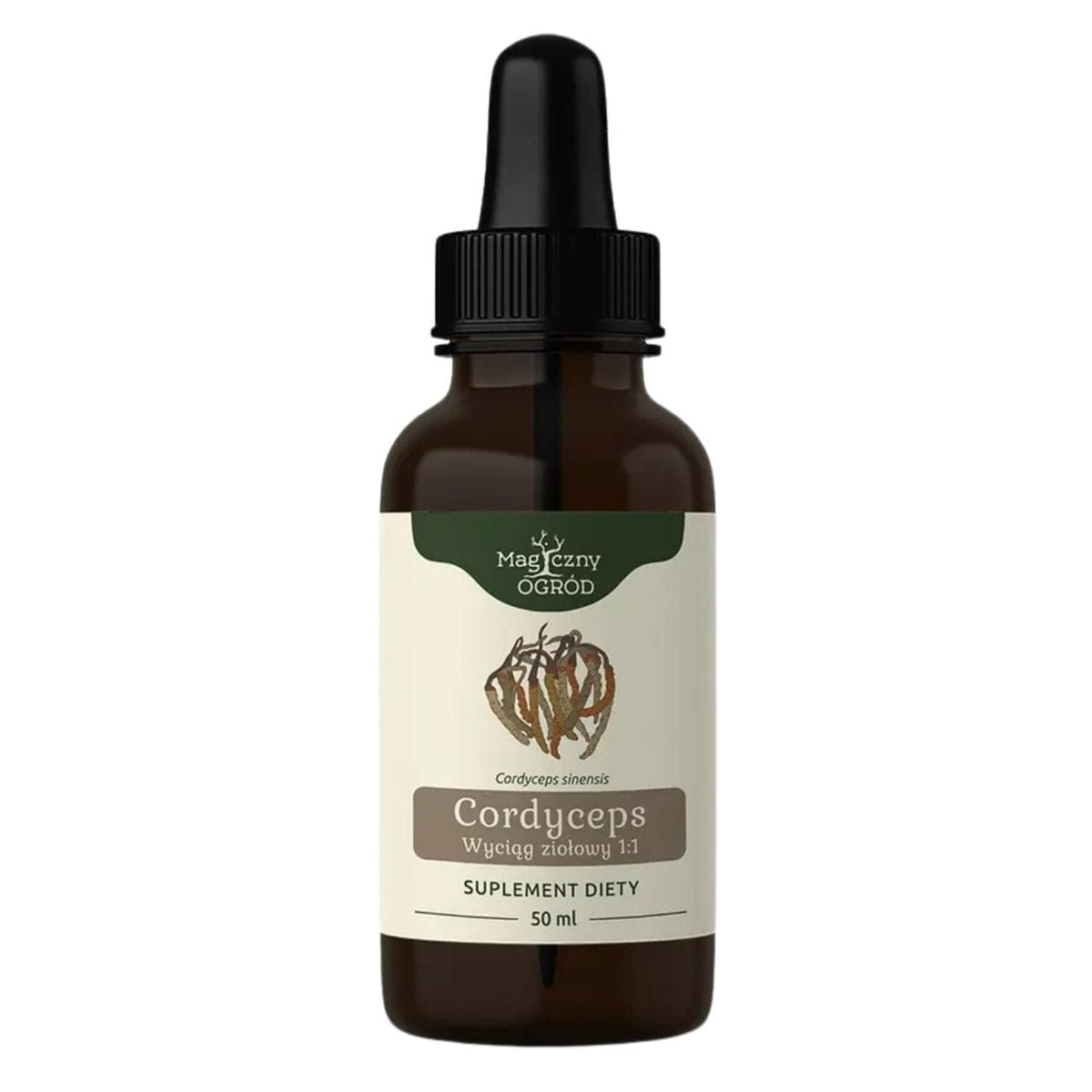 Nanga Cordyceps Herbal Extract 1:1 - 50 ml