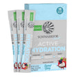 Sunwarrior Warrior Active Hydration Electrolytes, Coconut-Blueberry – 18 Sachets